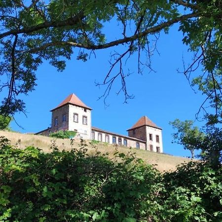 Chateau De Gorze Germolles-sur-Grosne Eksteriør billede