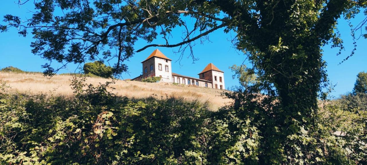Chateau De Gorze Germolles-sur-Grosne Eksteriør billede